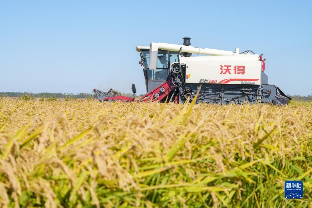 境外红包套现群